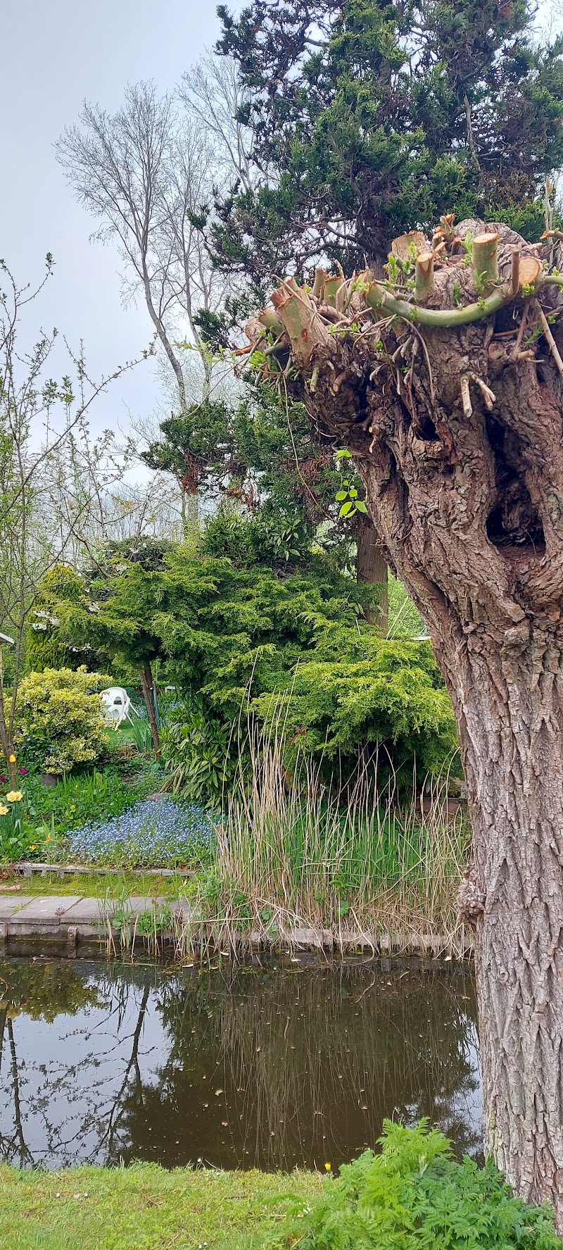 Zuiderpark