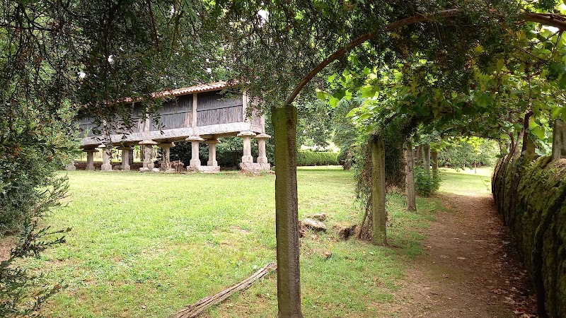 Rubians Pazo Vineyard photo 5