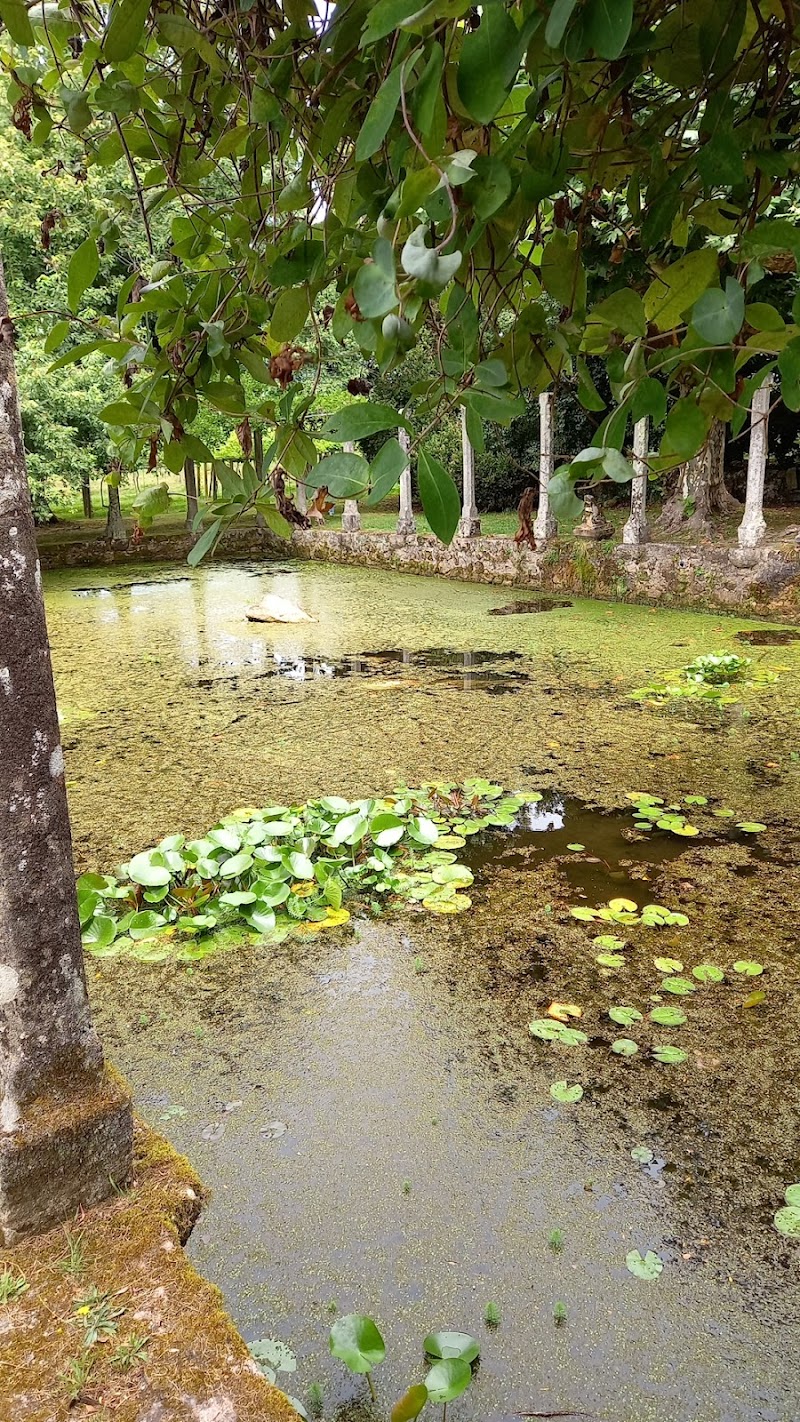 Rubians Pazo Vineyard photo 1