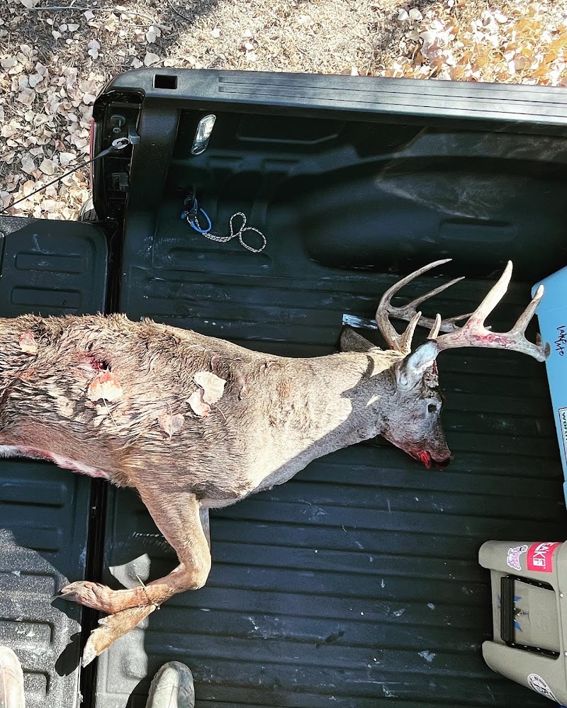 Red Dog Outfitters - Kansas Premier Whitetail & Mule Deer Hunting Outfitter - Photo 4