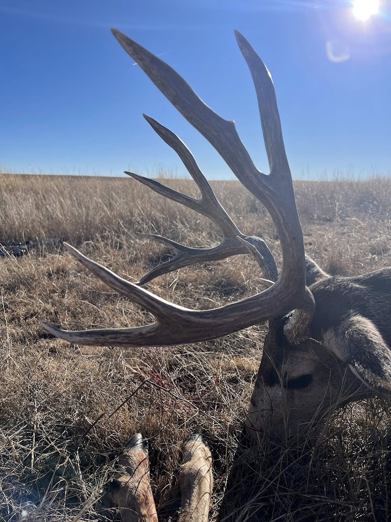 Red Dog Outfitters - Kansas Premier Whitetail & Mule Deer Hunting Outfitter - Photo 2