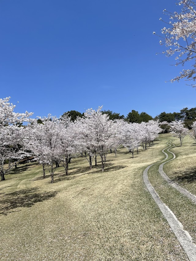 Kakogawa Golf Club - Photo 9