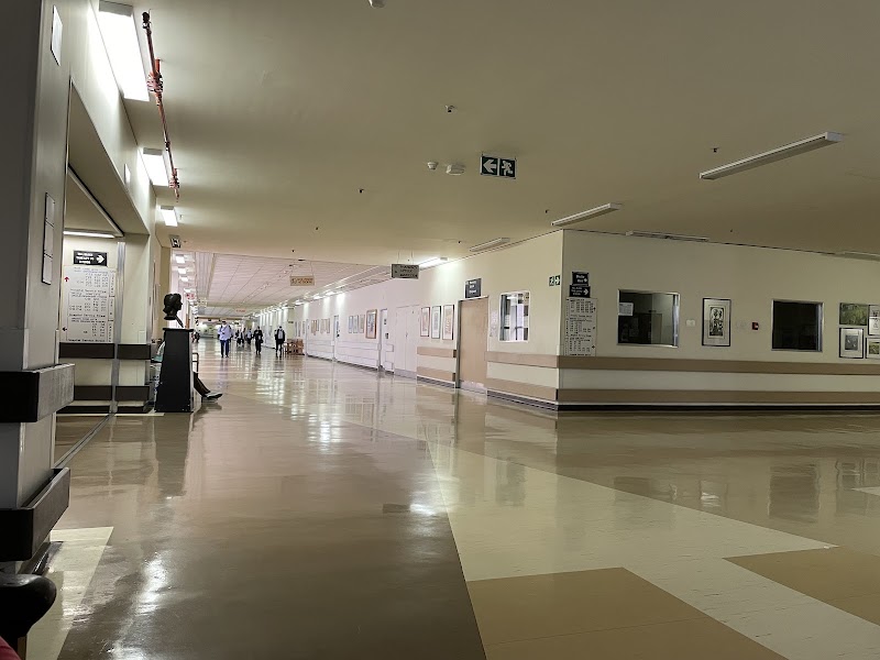Gallery 4