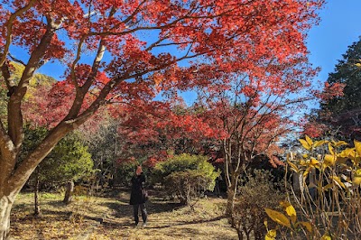 Genjiyama Park - 2