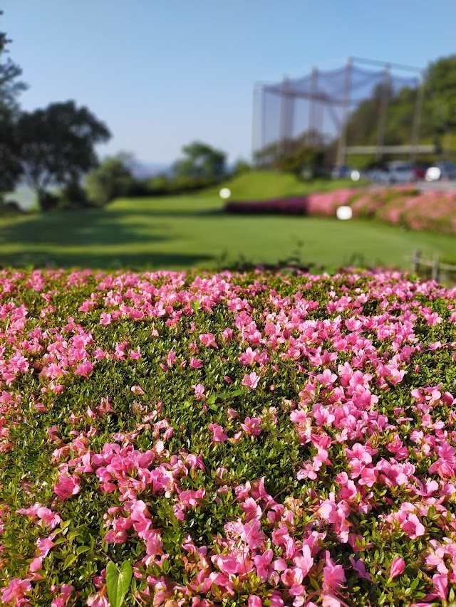 Pacific Golf Club - Photo 6