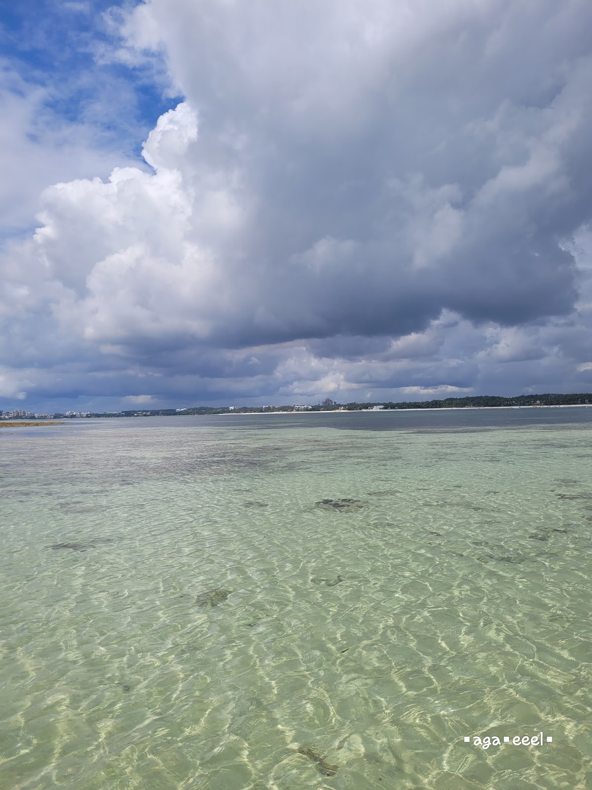 Mombasa Marine National Park