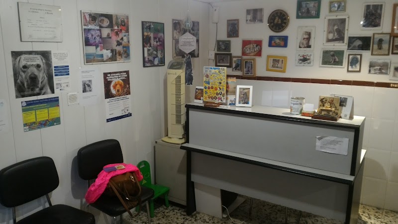 Centro Veterinario Sant Martí