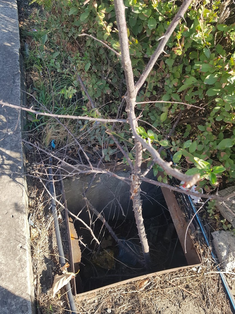 Studzienka niewidka: что важно знать перед визитом