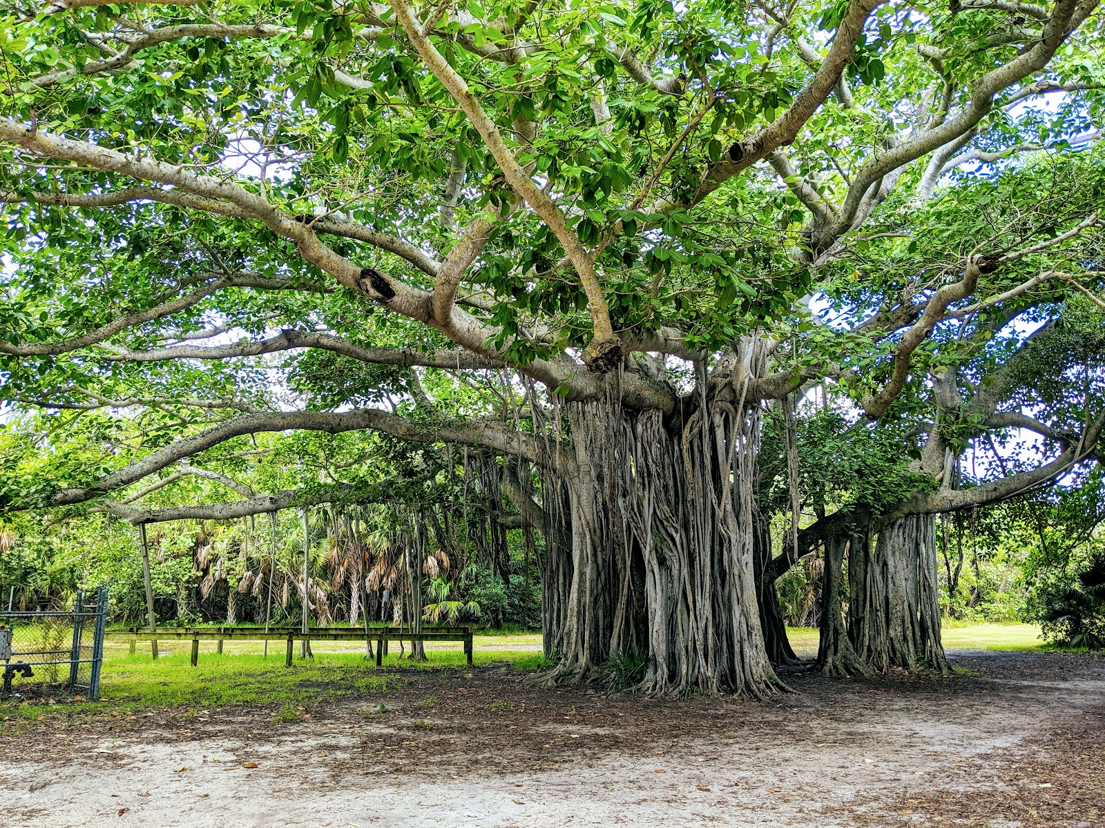 Hugh Taylor Birch State Park