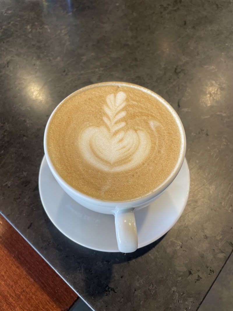 Colectivo Coffee Grafton photo 4