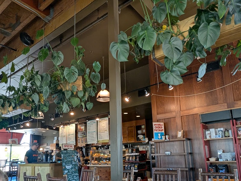 Colectivo Coffee Grafton photo 3