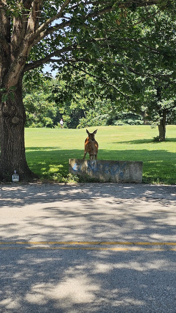 Photo by MICHAEL KOLDE