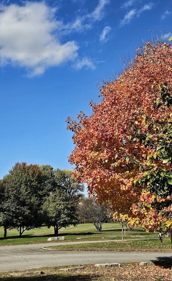 Photo by MICHAEL KOLDE