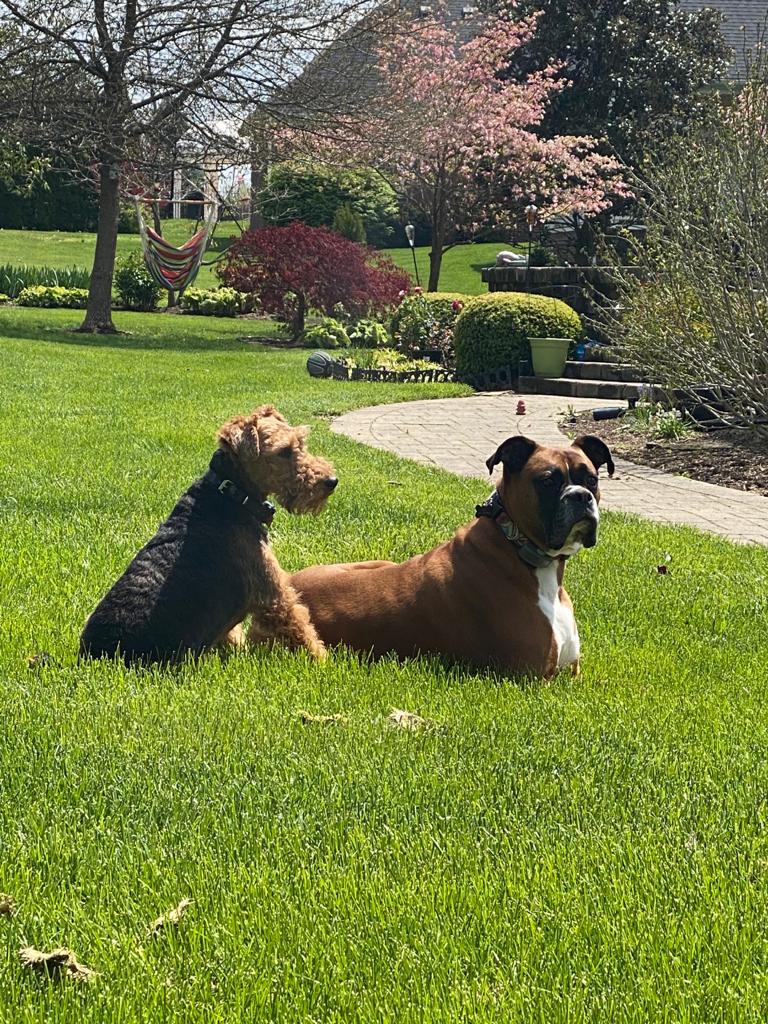 Centro veterinario El Coto El Casar