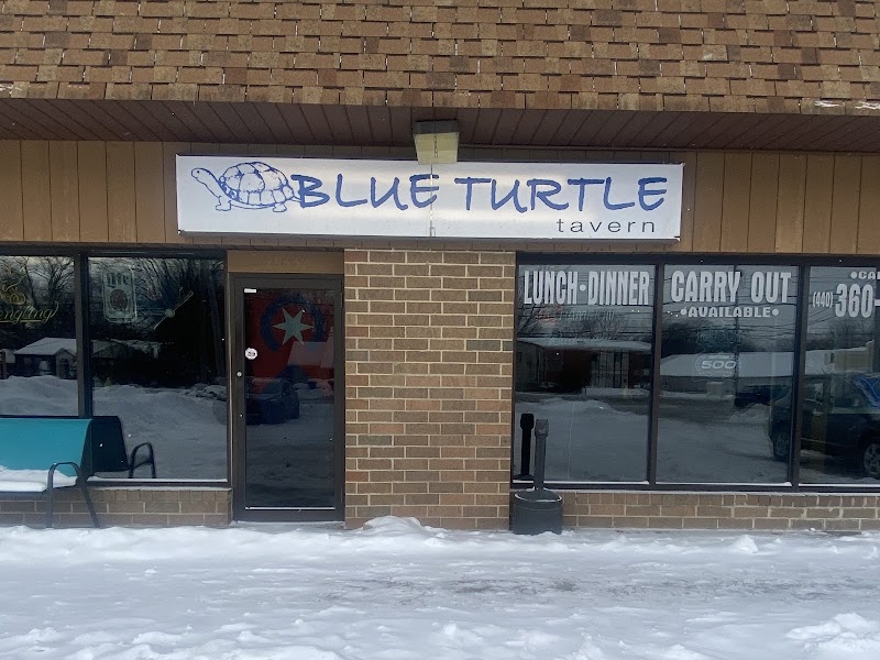 The Blue Turtle