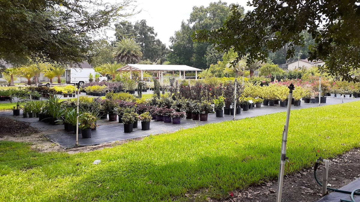 S & S Brothers Landscape Services project 2