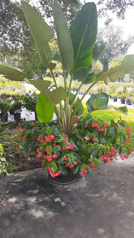 S & S Brothers Landscape Services project 5