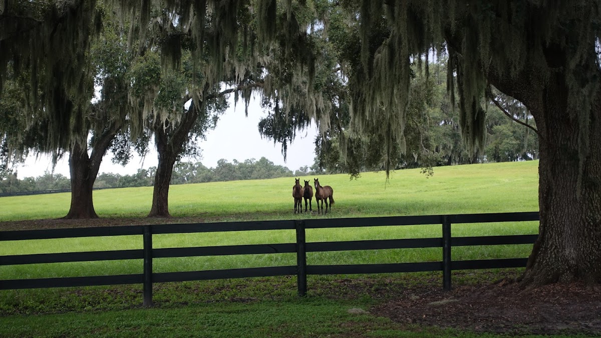 S & S Brothers Landscape Services project 3