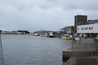 Misaki Maguro Wharf - 4