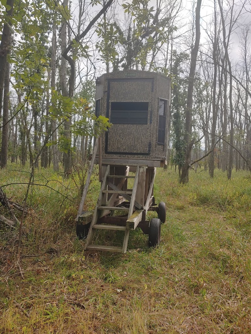 Heavy Horn Whitetails LLC - Photo 1