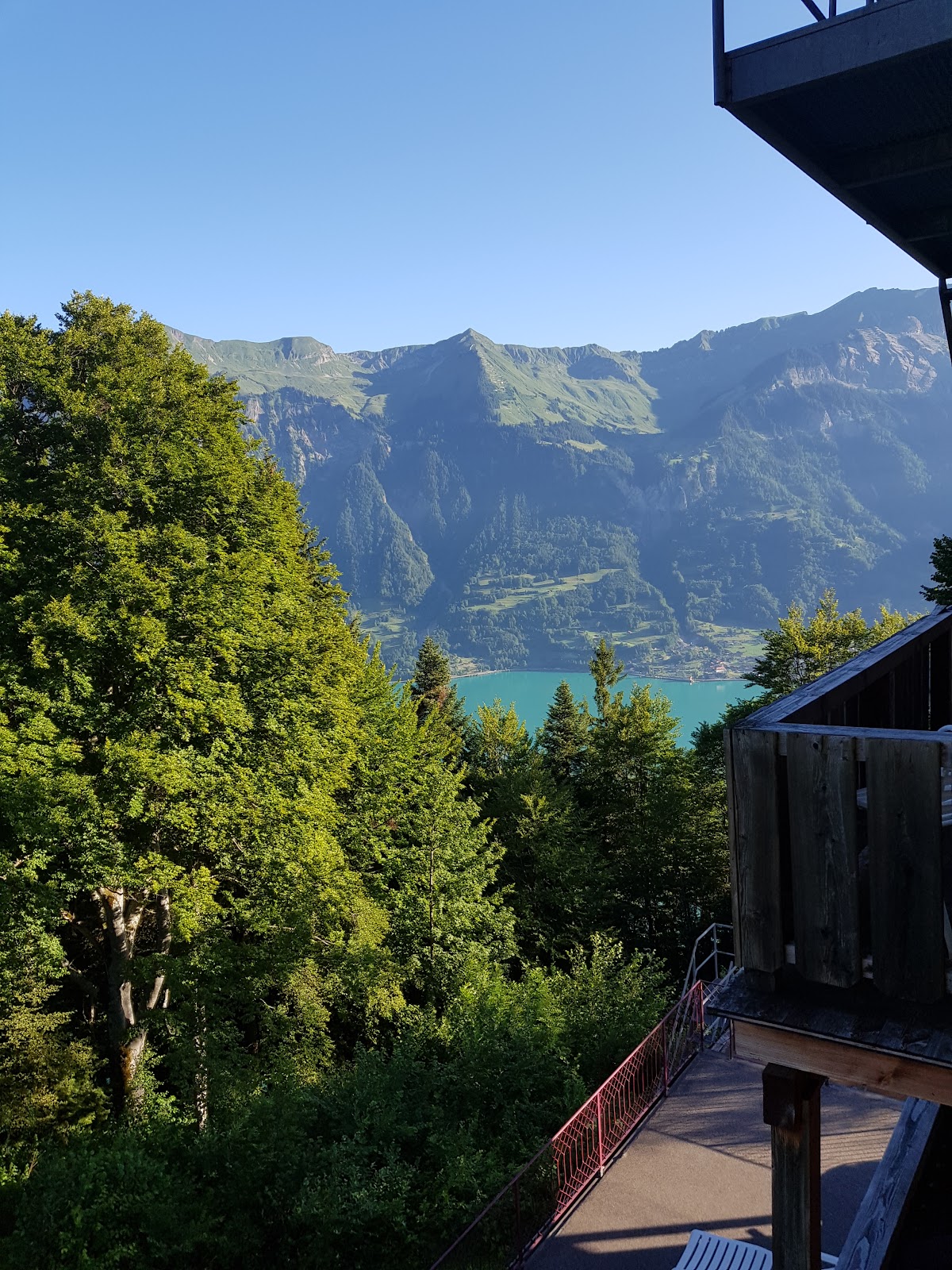 Zentrum der Einheit Schweibenalp — 4