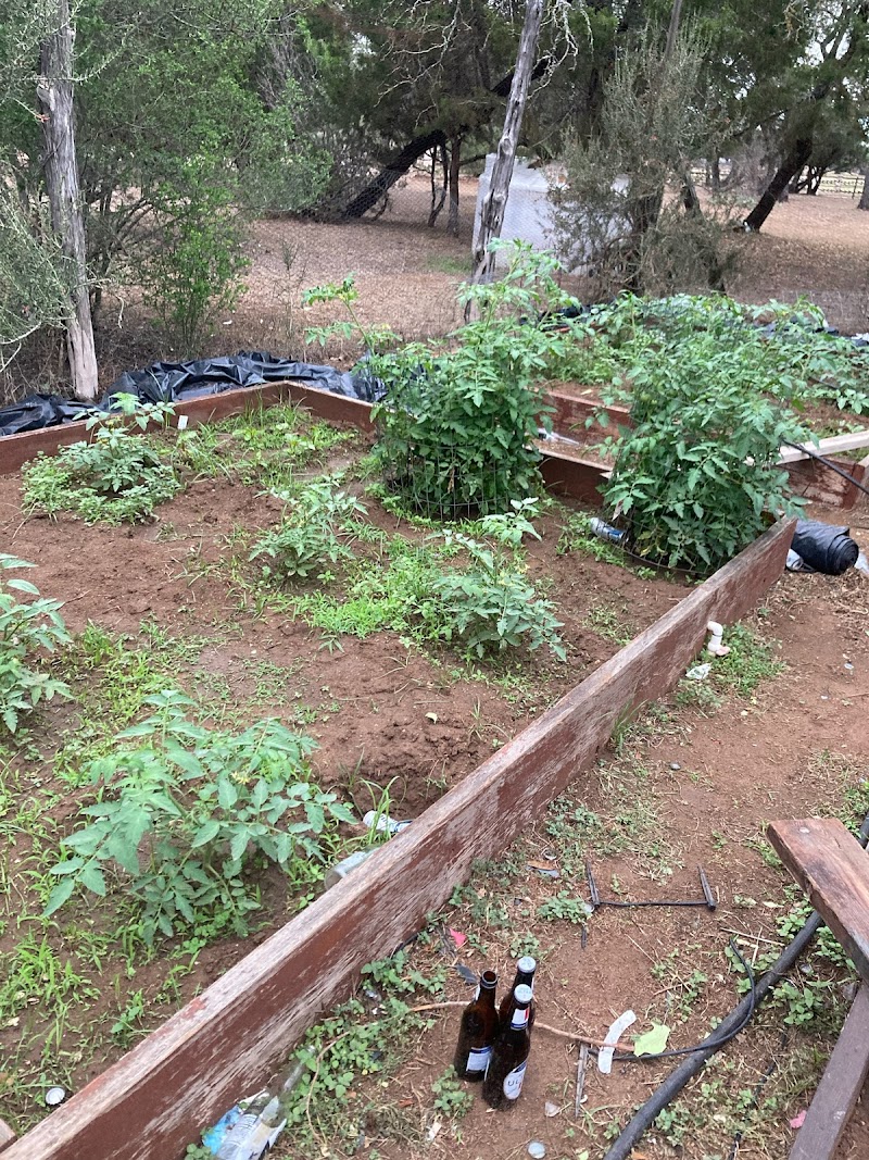 FireSong Ranch - Photo 6