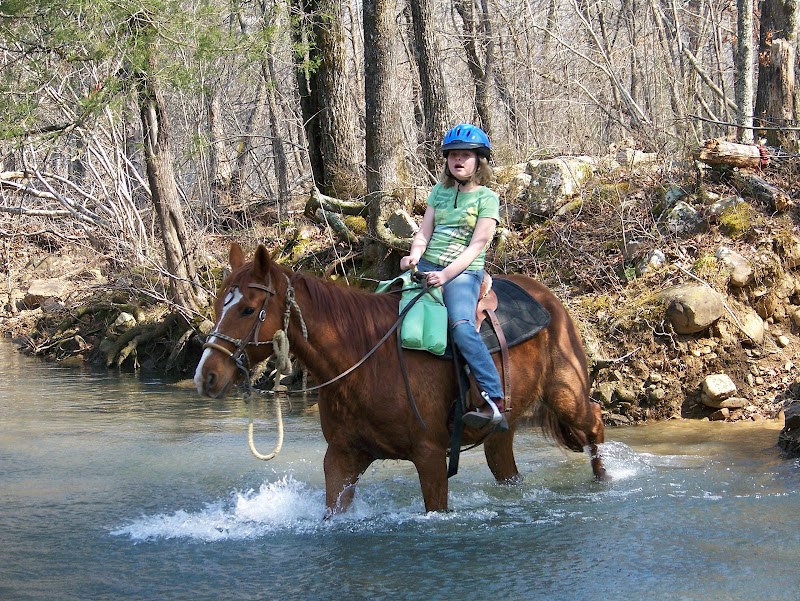 A To Z Guest Ranch - Photo 4