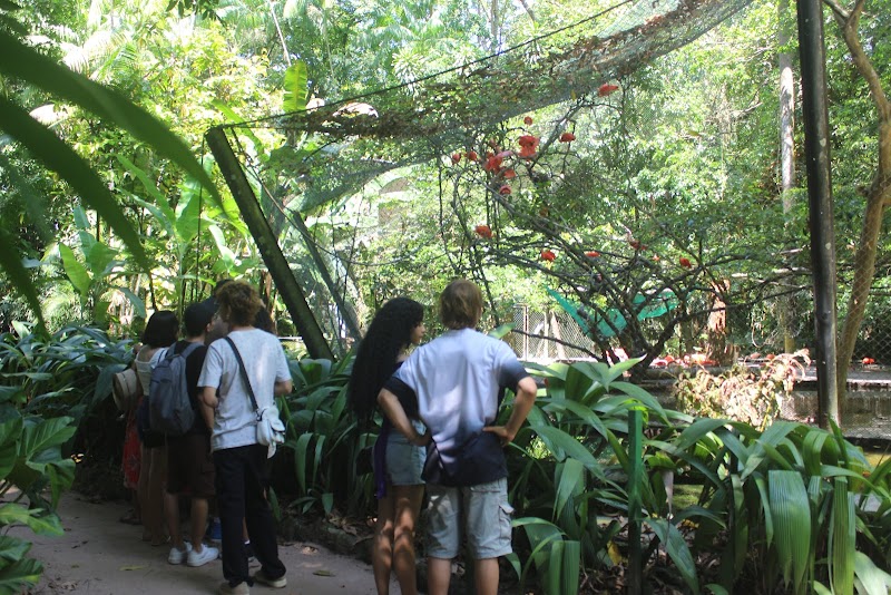 Zoobotanical Park - Emílio Goeldi Museum