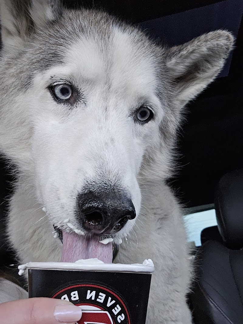 7 Brew Coffee photo 4