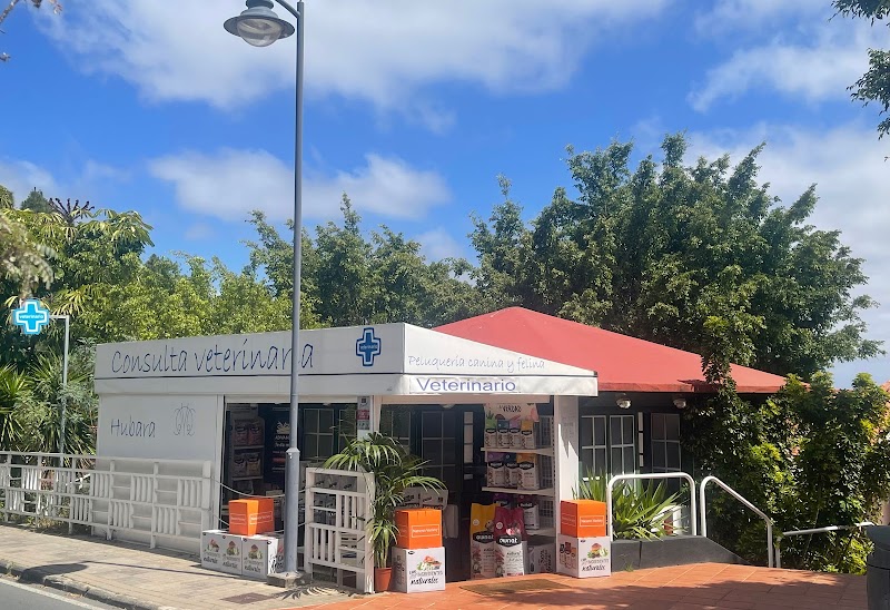 Consulta veterinaria Hubara | Veterinario en Tafira