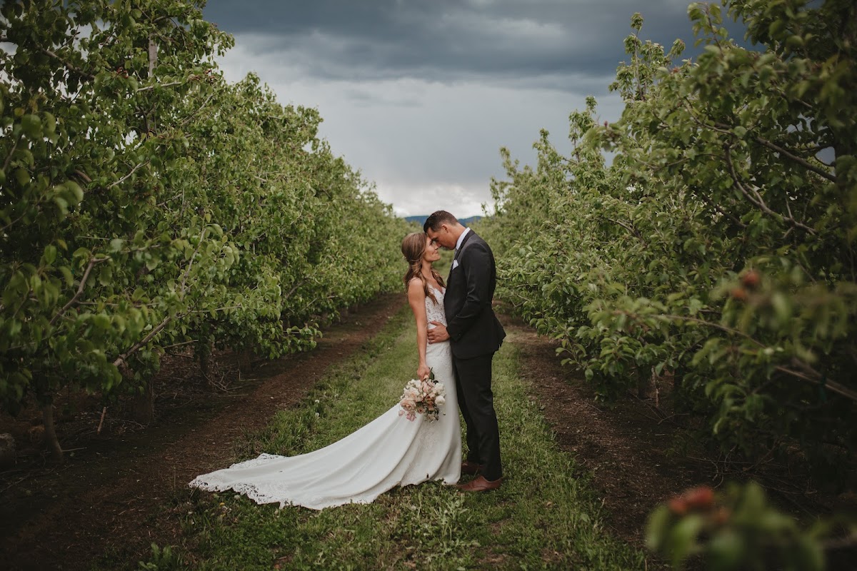 Indwell Weddings: Google Places image 3