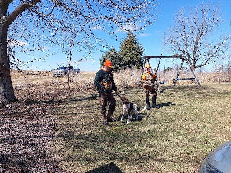 Brush Dale Hunting Preserve & Kennel - Photo 3