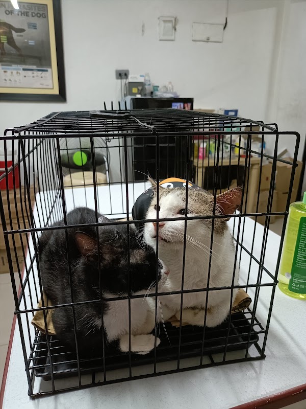 Signal Animal Clinic