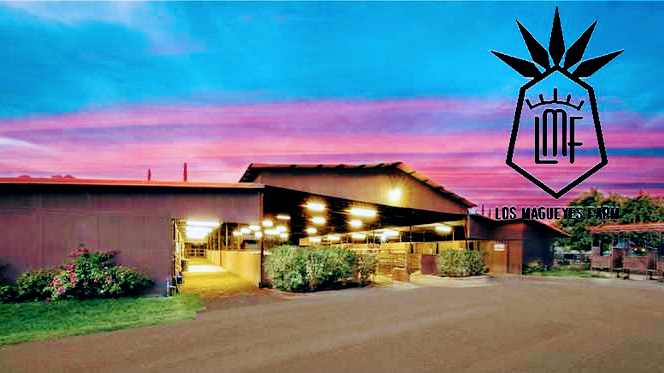 Los magueyes farm event center