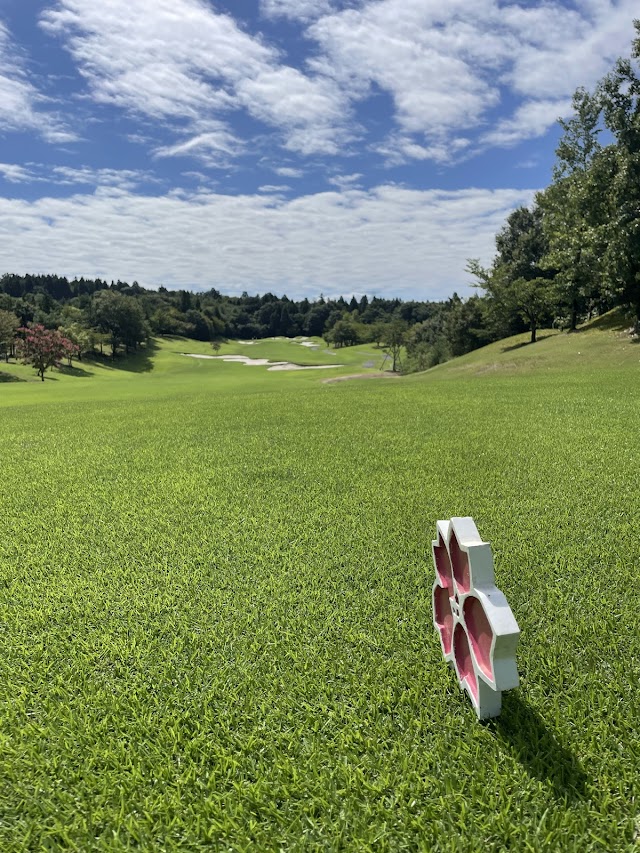 Nakamine Golf Club - Photo 5