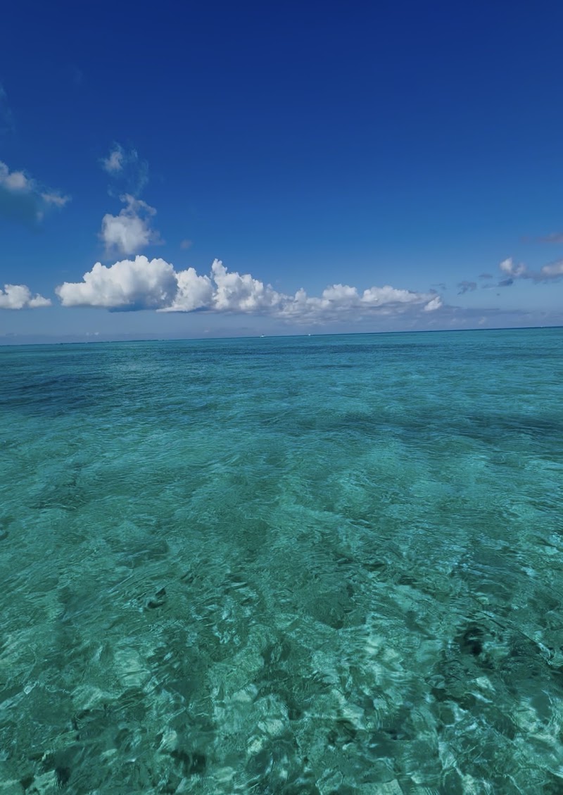 Cayman Luxury Charters photo 2