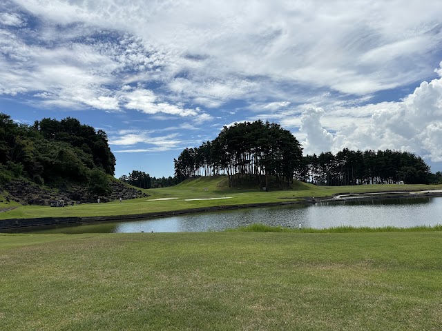 Chateraise Vintage Golf Club - Photo 1