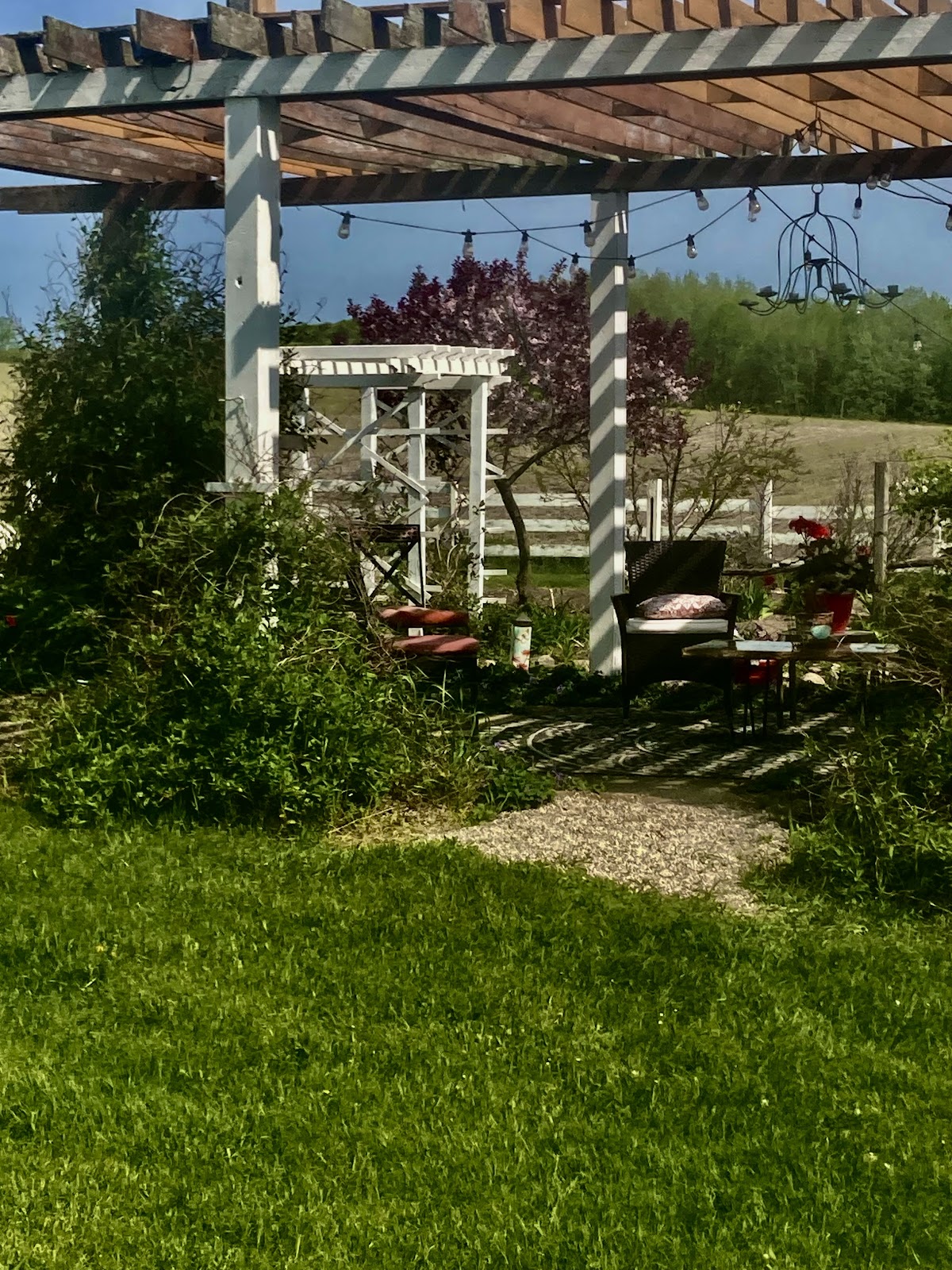 The Garden Shed 4
