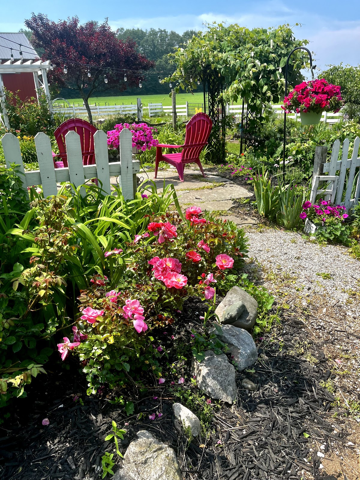 The Garden Shed 3