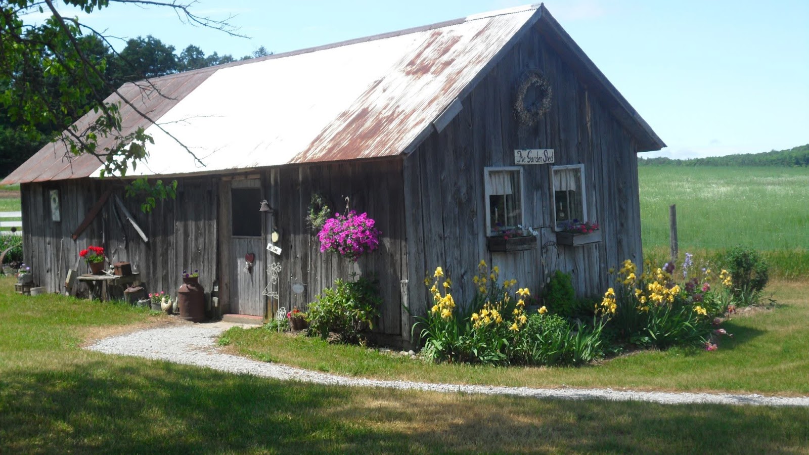 The Garden Shed main