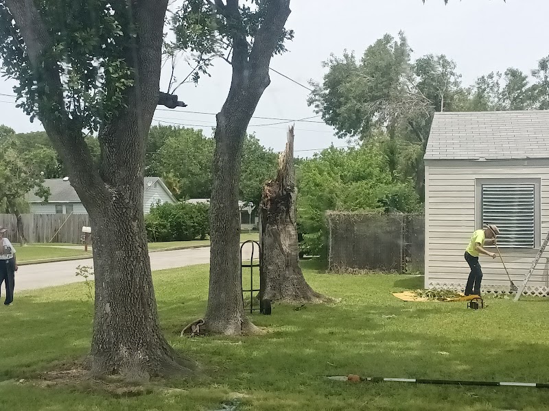SEAN MCKEE radon testing
