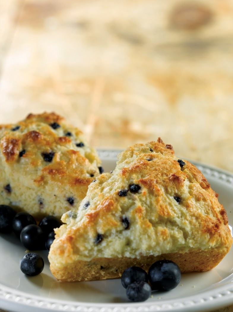 Northern Light Espresso Bar and Cafe photo 2