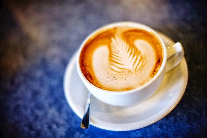 Northern Light Espresso Bar and Cafe photo 2