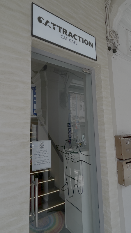 The Cat Cafe (The Rail Mall / Cashew)