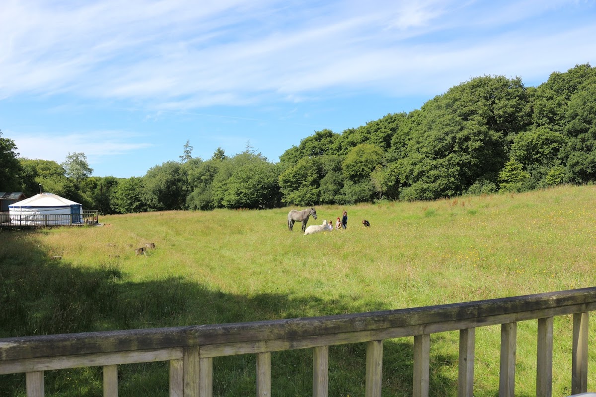 Seren Retreat B&B — 4
