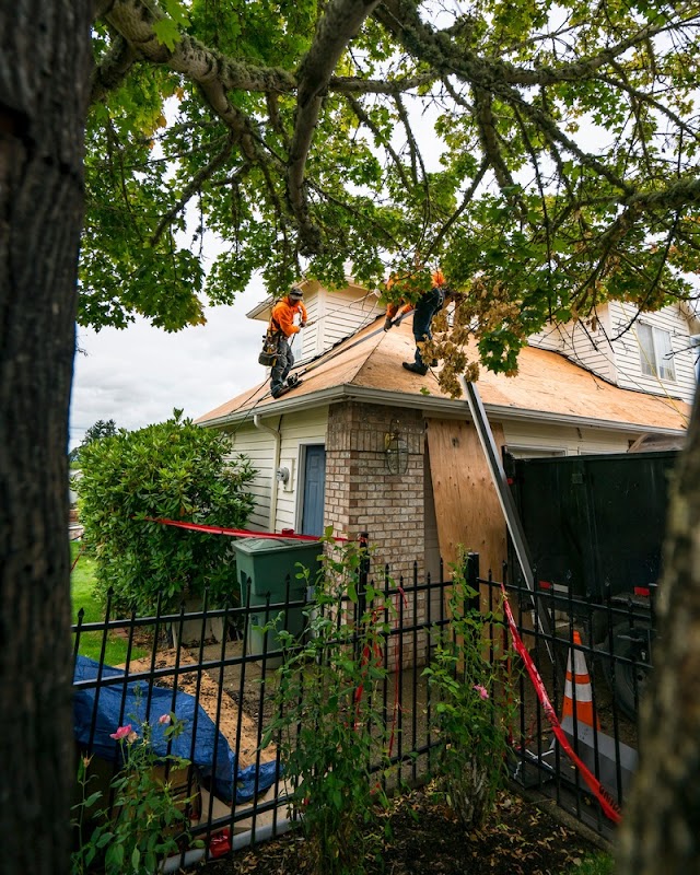 Pfeifer Roofing, Inc. photo 4