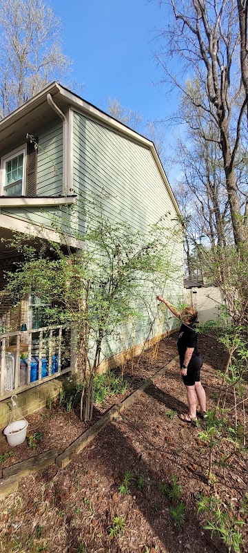 Cardinal Restoration — photo