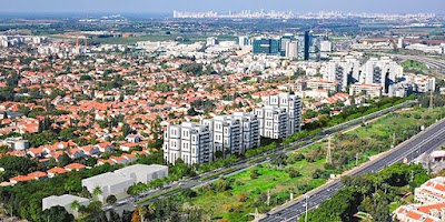 זנדוג ZENDOG - Training For Balance