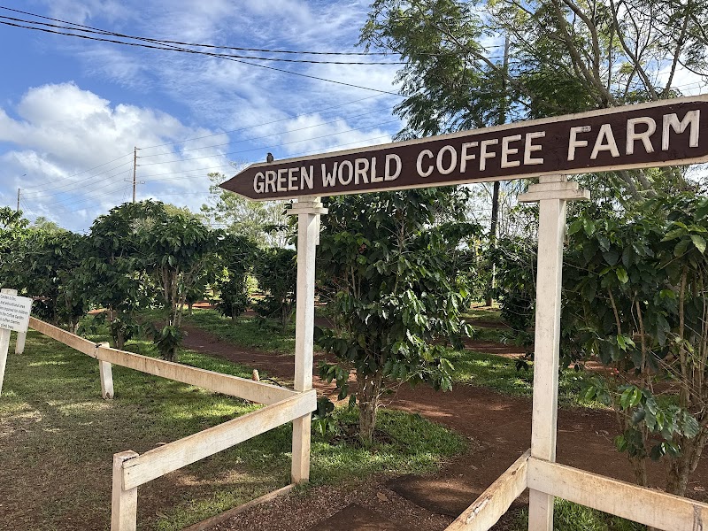 Green World Coffee Farm photo 3