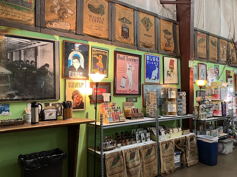 Green World Coffee Farm photo 2